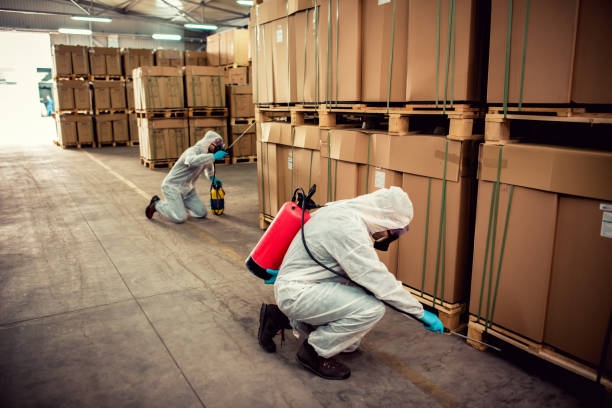 Best Cockroach Control Services  in Federalsburg, MD