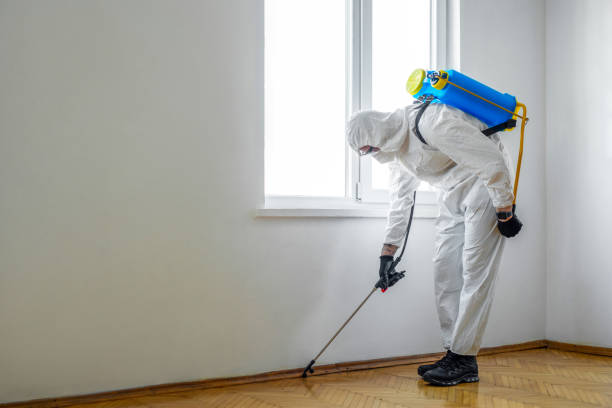Best Pest Control Treatment  in Federalsburg, MD