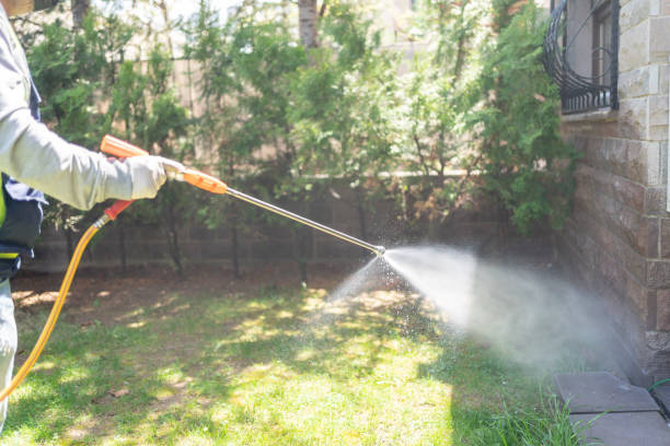 Best Pest Control Near Me in Federalsburg, MD