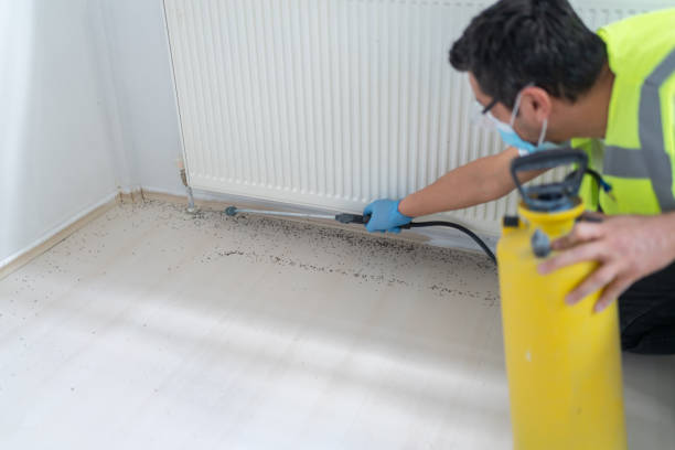 Best Pest Inspection Near Me  in Federalsburg, MD