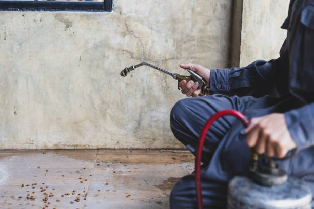 Best Emergency Pest Control  in Federalsburg, MD